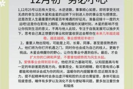 72年出生的鼠命人生解析：机智与灵活的命运之旅