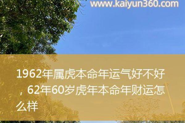 1986虎年出生的人命运解析：揭示他们的性格与未来轨迹
