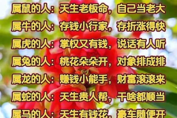 探秘30岁：属相与命运的奥妙分析