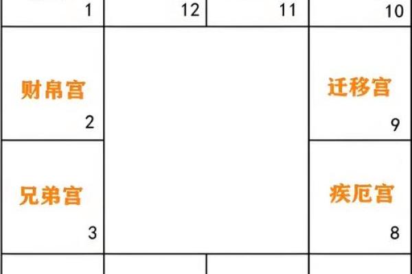 阳命和阴命的区别：女性命理中的微妙差异与生活启示