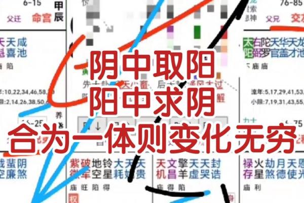 阳命和阴命的区别：女性命理中的微妙差异与生活启示