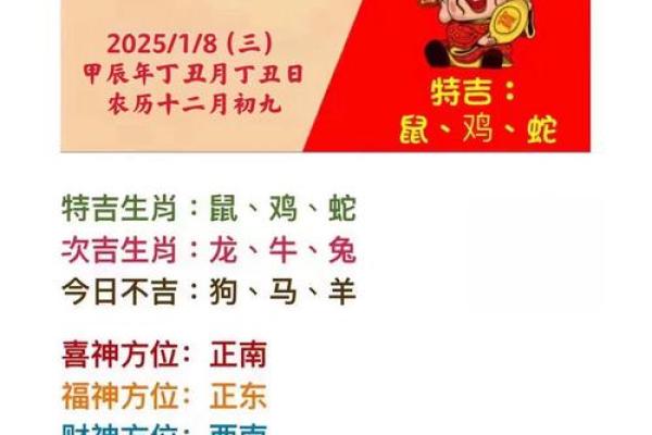 探索生肖与命理的奥秘：每个生肖背后的命运解析