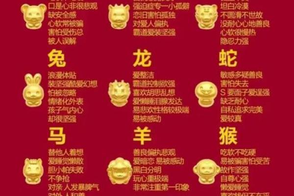 探索生肖与命理的奥秘：每个生肖背后的命运解析