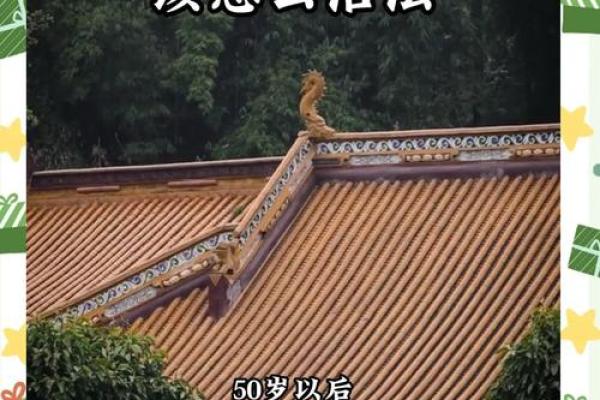 揭秘：50岁是什么命，如何在中年迎接新生？
