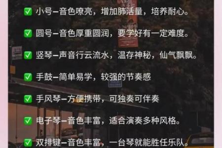 火命者的乐器选择：适合学习哪种乐器才能更好地发挥潜力？