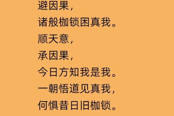 探寻命运的真谛：我命里注定是什么？