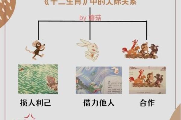 探索命理学：属相划分的奥秘与智慧之道
