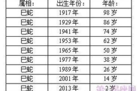 2019年出生的蛇年命运解析：如何拥抱变化与机遇
