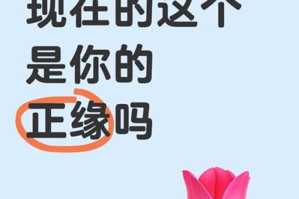 水命与木命：命理之道与人生启示