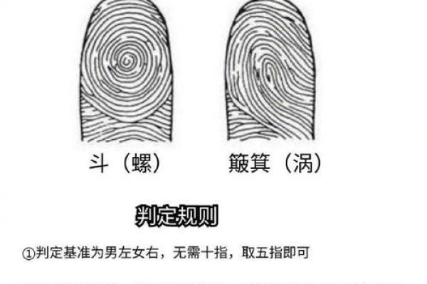 男人十个簸箕的命理解析：揭示隐藏在幸运背后的秘密