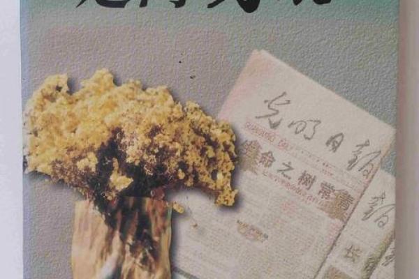 13岁孩子的命运探秘：如何引导他们走向光明未来？