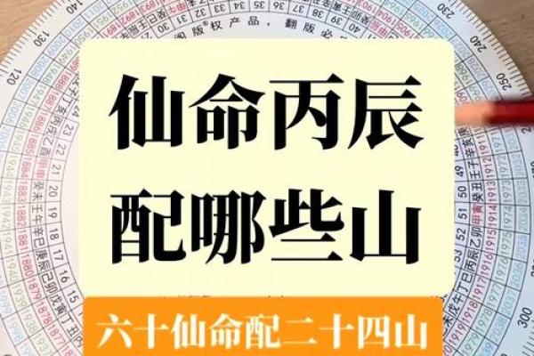 山头火命男与命女的绝配：探寻最合适的搭档选择