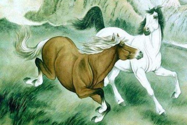 属马的木命人：独立与奋斗的灵魂旅程