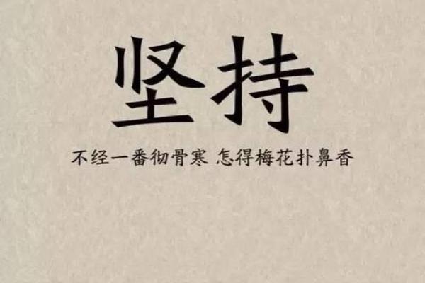 属马的木命人：独立与奋斗的灵魂旅程