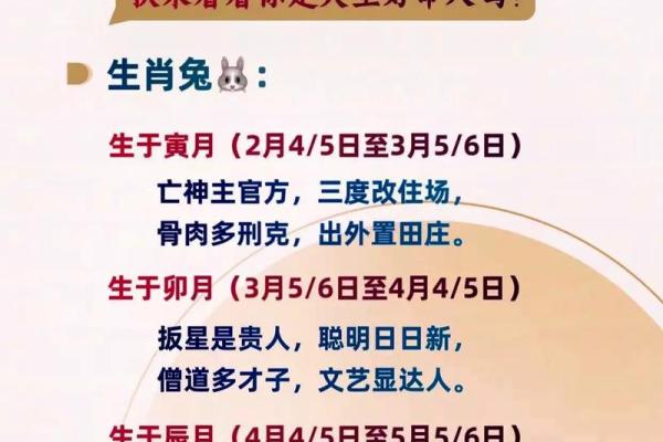 揭开国印命格的神秘面纱：命理中的独特魅力与特征