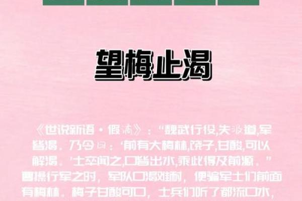 根据什么洒什么命的成语解析与启示