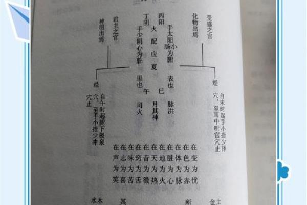 揭秘二命与三命：命运分析的深奥之道