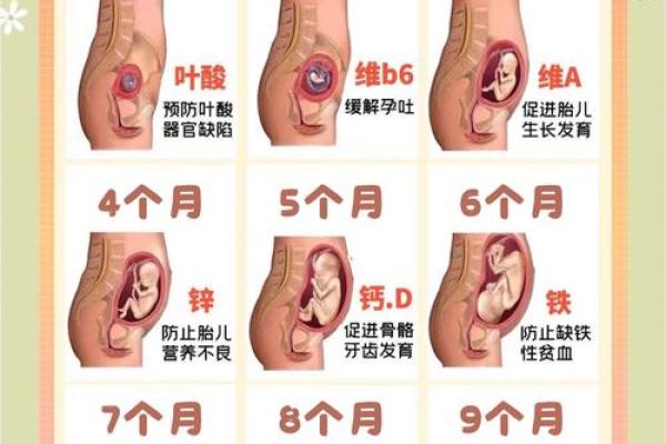 揭秘：宝宝没有胎记的意义与命运解析