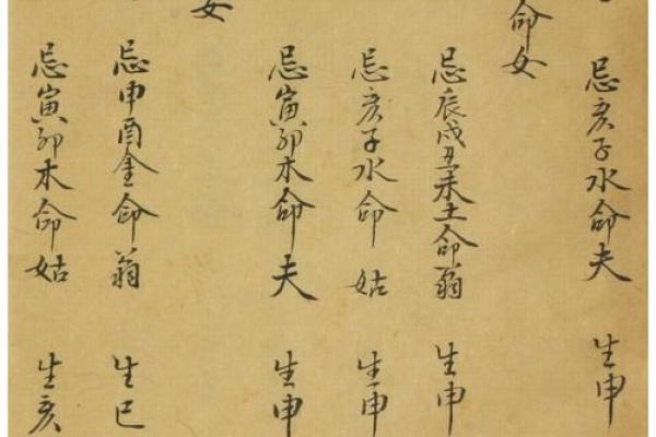 两个水命如何生育出优秀孩子的秘密