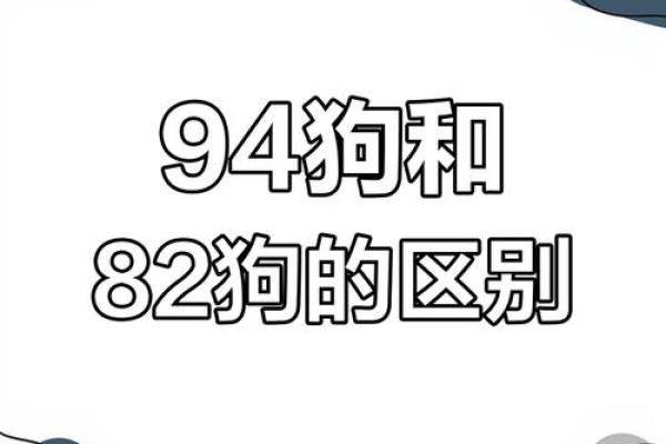 1982年属狗女孩的命运解析：追求幸福与自我实现的旅程