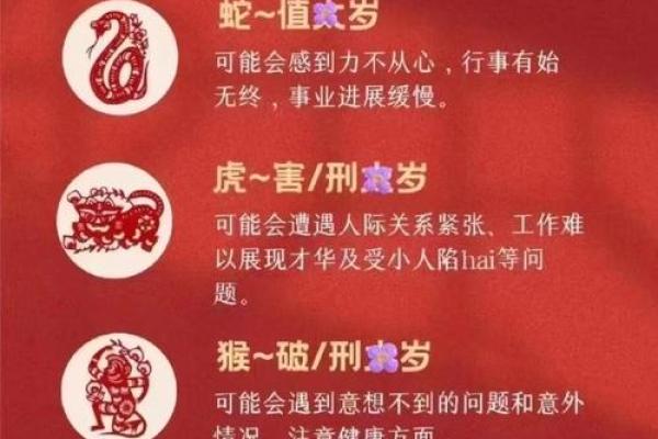 2019年猪年出生的人命运分析：聪明、机智与未来方向