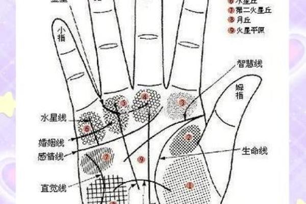 手相看难看掌纹，揭示你的独特命格与潜在潜力！