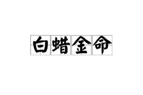 金命的意义与生活中的影响：揭开命理的神秘面纱