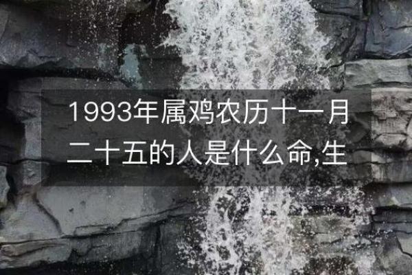 癸酉鸡年命理解析：为你揭示人生的方向与机遇