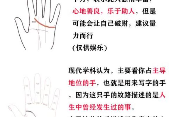 手相命理揭秘：从命短看人生轨迹与内在潜力！