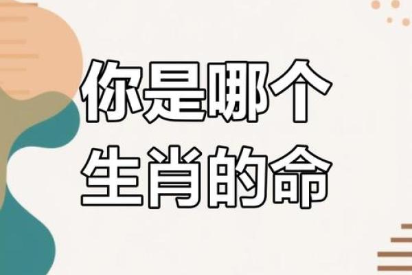 2029年是什么年？属什么命？揭开命运之谜！