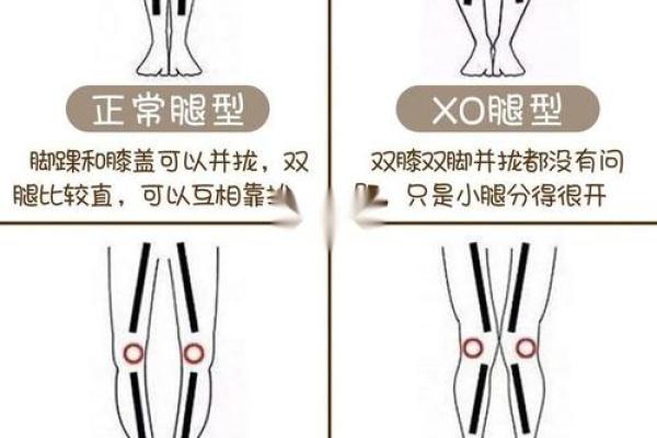 什么腿是富贵命，揭示腿型与命运的秘密！