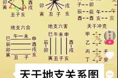 命理解析：如何根据命格选择避免金木水火元素的生活方式