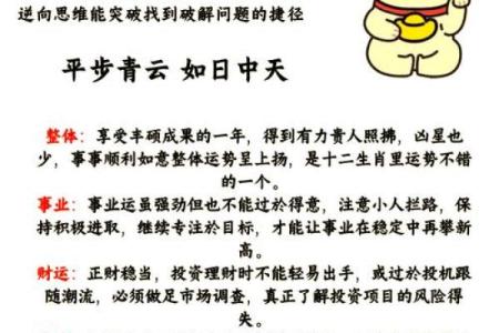 24岁属鼠的人是什么命？火命解析与生活影响