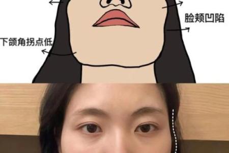 颧骨高、脸颊凹陷，命运暗示与生活智慧的碰撞