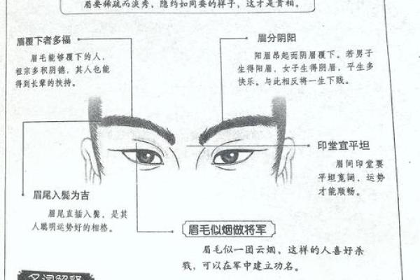 眉毛短小的命格是否暗示着命运的不同？