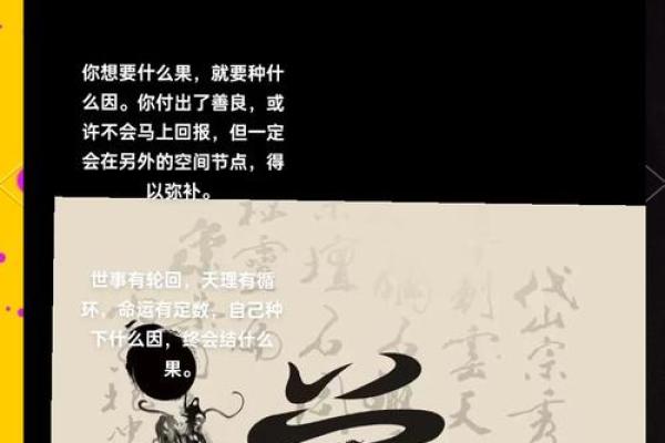算命中的蝙蝠命：神秘象征与命运解读