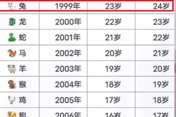 1996年兔年出生者的命运与性格解析