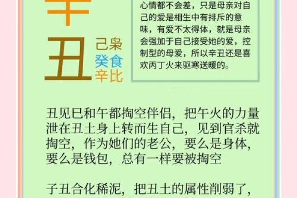 1995年出生的人命运解析：从五行看您的人生轨迹与性格特征