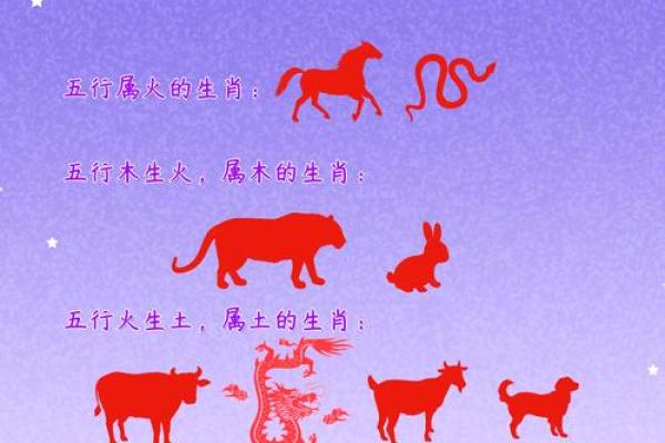 火命属相：探索适合火命人的行业与发展潜力