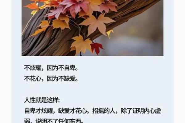 心软的女人命理解析：发现内心的力量与命运的和谐之道