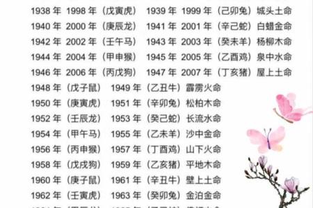 最旺炉中火命的属相，点燃你的运势与财富