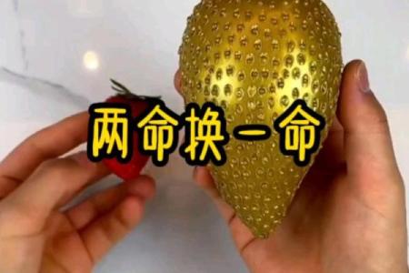 揭秘网络流行文化：一命换一命的网红内幕与背后故事