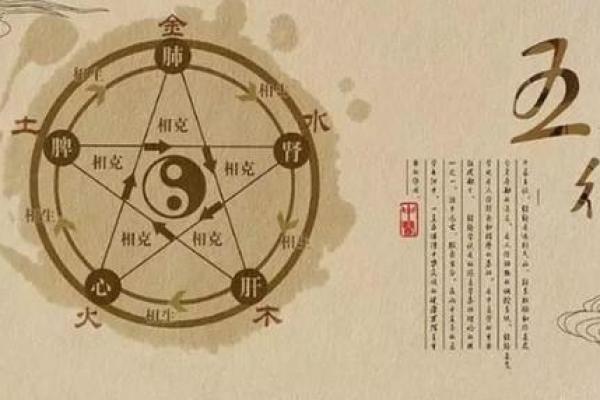 2012年出生的人的命运解析：揭示未来趋势与人生方向