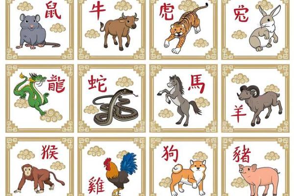 2020年属鼠人的土命解析与生活指南