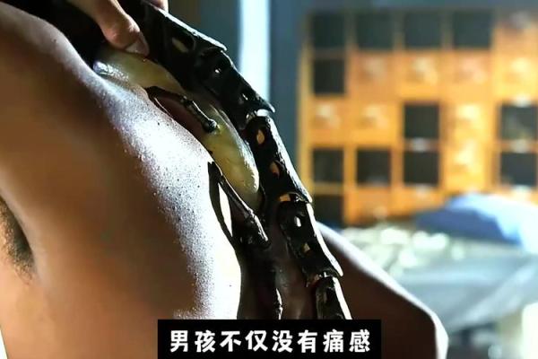 男人骨头4.9量，探秘命理与人生的深秘密