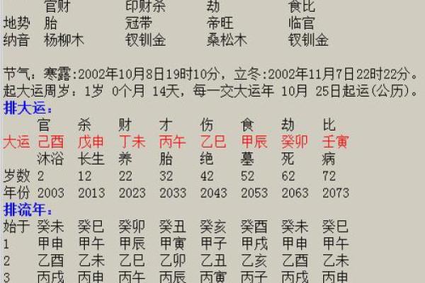 1980年腊月生人命运分析：揭示你的命格与未来潜力