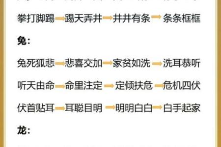命什么一什么，成语接龙乐无穷！