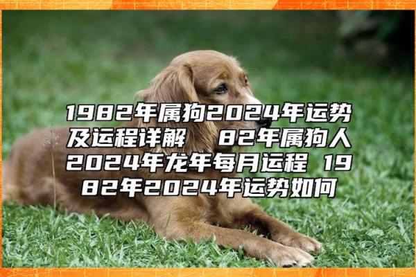 2018年属狗人的命运解析：从性格到运势全揭秘！