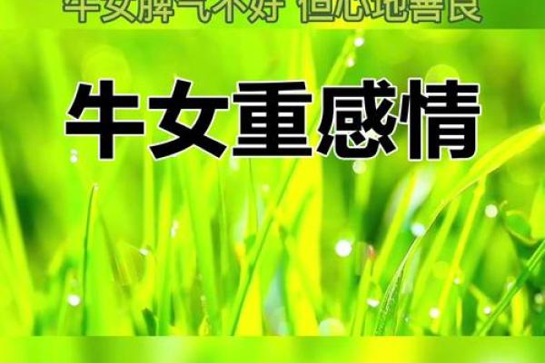 1974年牛年五行命运解析：解读牛年人的性格与命理