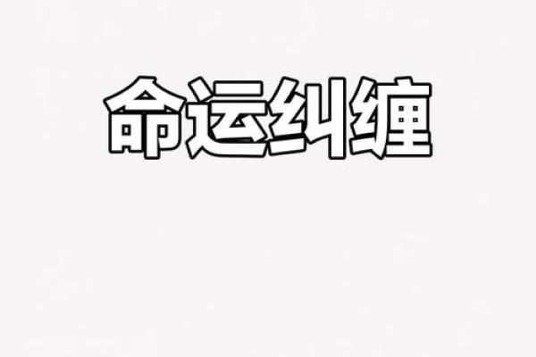 红颜如梦，迷命皆醉：浅谈爱情与命运的交织